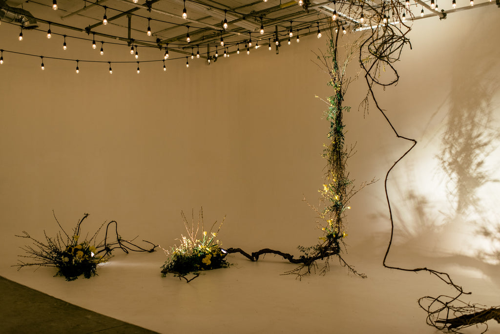 WNF x DISTRICT 28 OPEN HOUSE