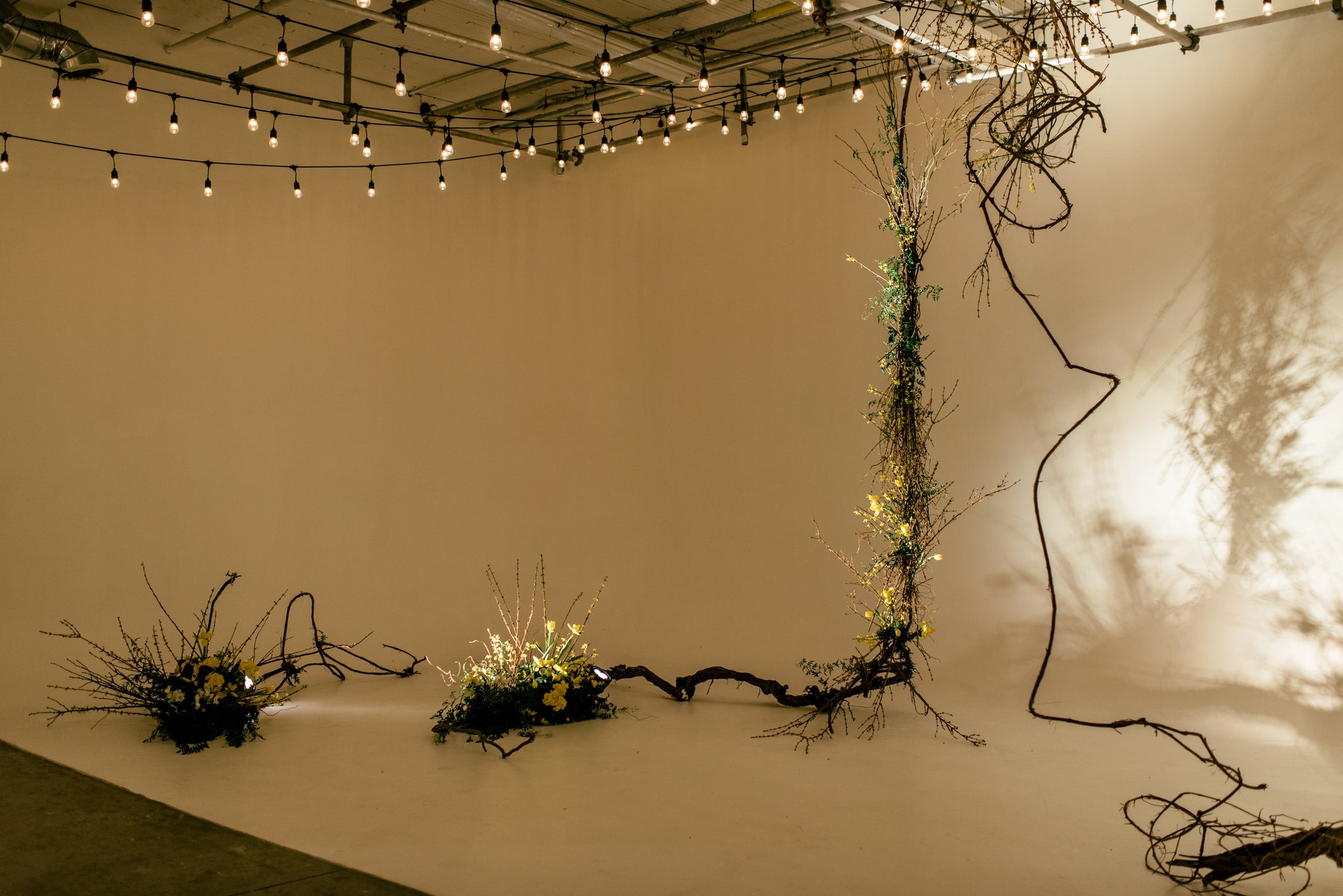 WNF x DISTRICT 28 OPEN HOUSE