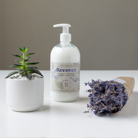 a succulent plant, a dried lavender bundle and a eucalyptus and cedar wood scented body lotion.