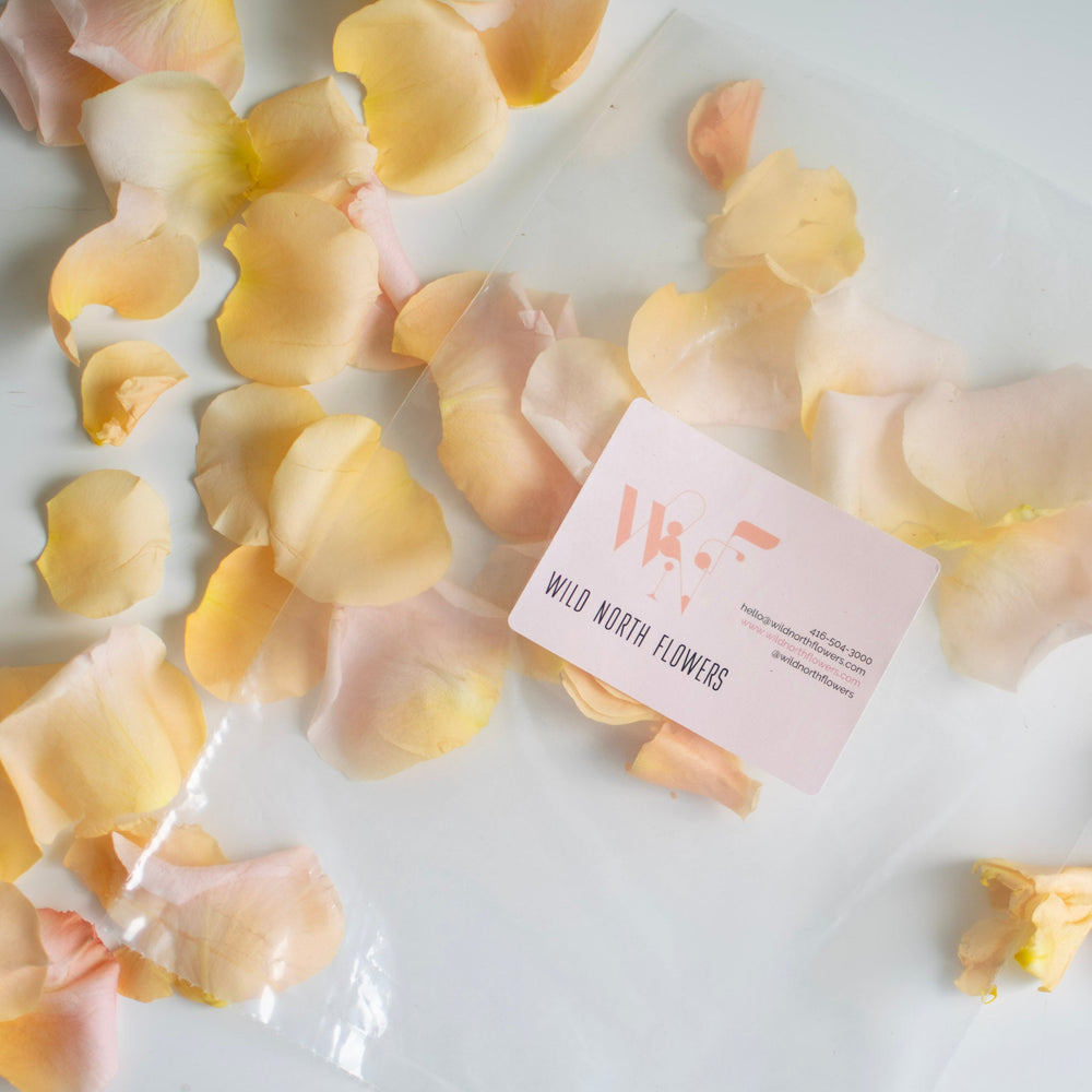 Yellow rose petals are strewn across a white surface. A plastic bag with a branded sticker is laid on top.