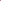 fresh flowers in fantasy garden colour palette