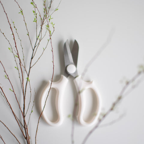 Delicate branches are in the foreground of a pair of floral shears.