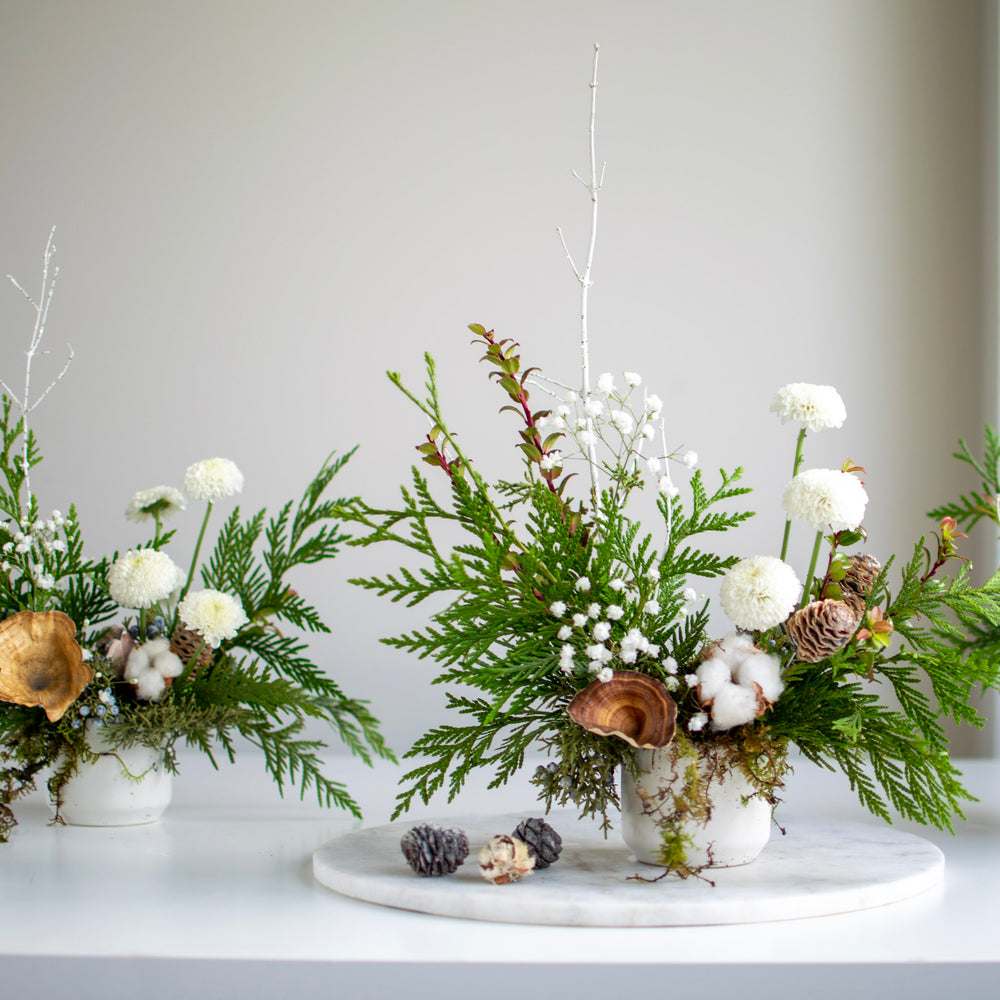 Winter Forest - Long Lasting Trio