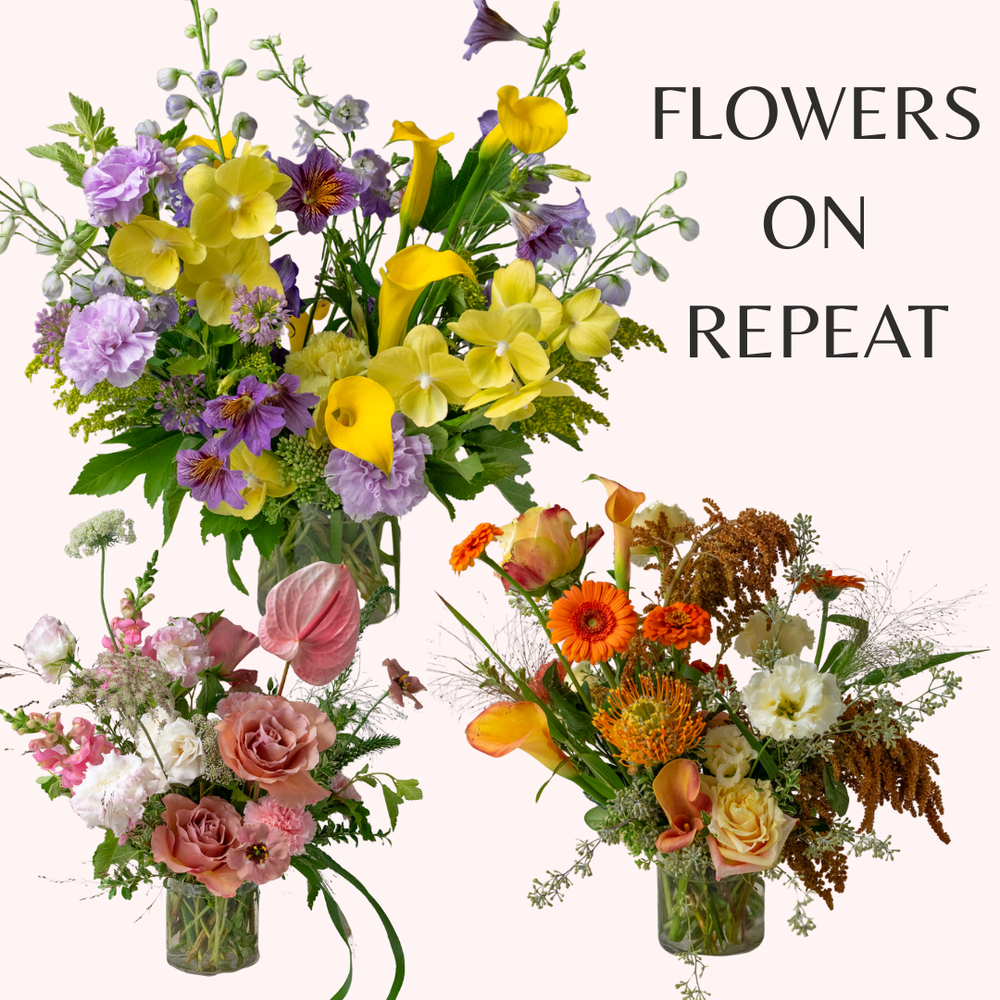 Vase Arrangement Flower Subscription