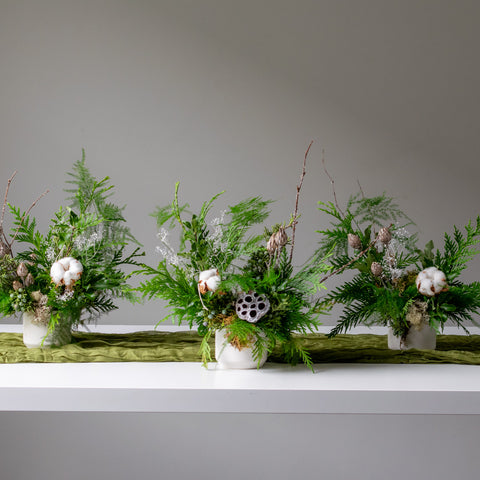 Winter Forest - Long Lasting Trio