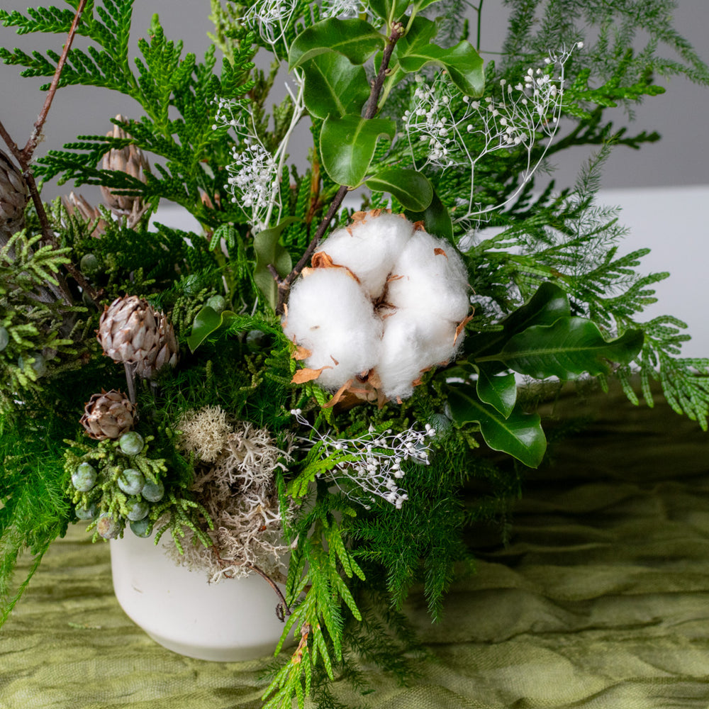 Winter Forest - Long Lasting Trio