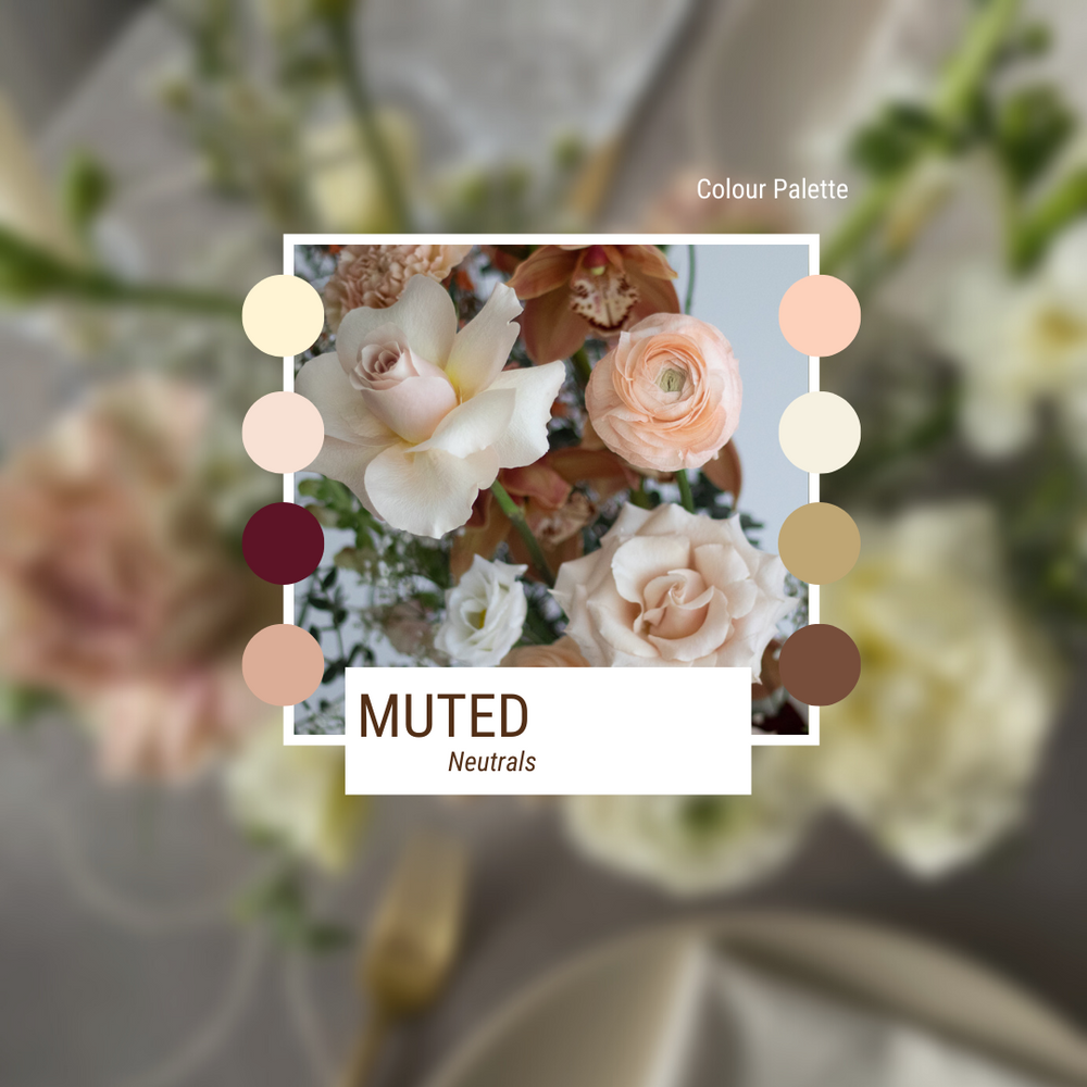 Depiction of the Muted Neutrals colour palette