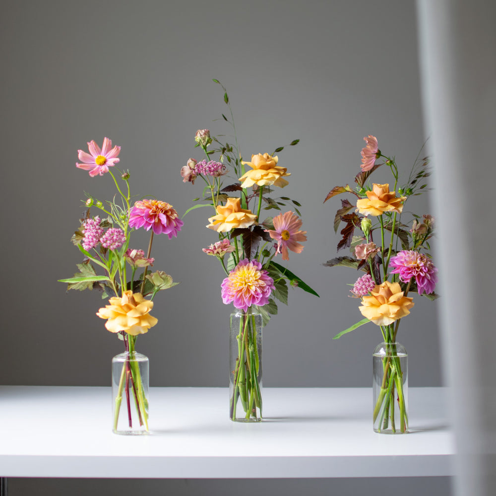 Simple Bud Vase (glass)