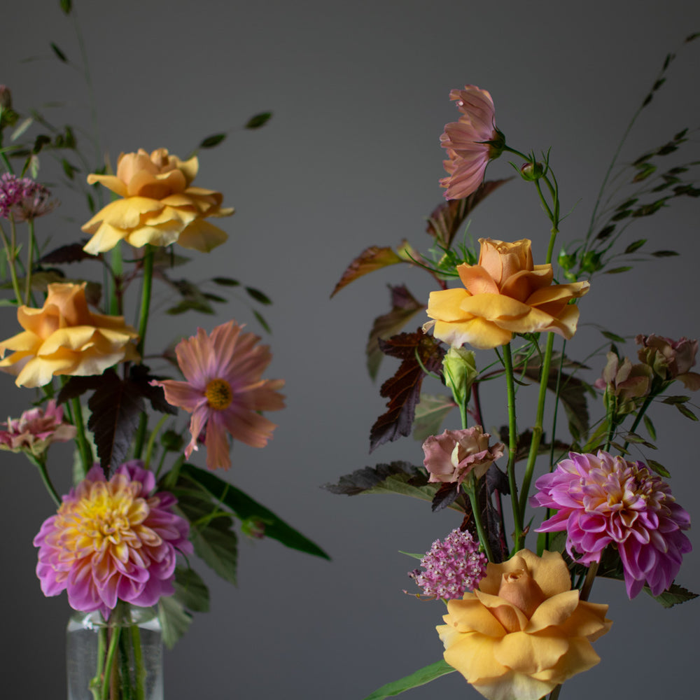 A close up of flexed roses and pink dual-toned dahlias.
