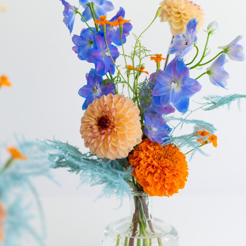 A close-up of blue and orange flowers in a glass vase. Carnations and dahlias are used.