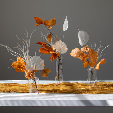 Aurelia - Dried Trio