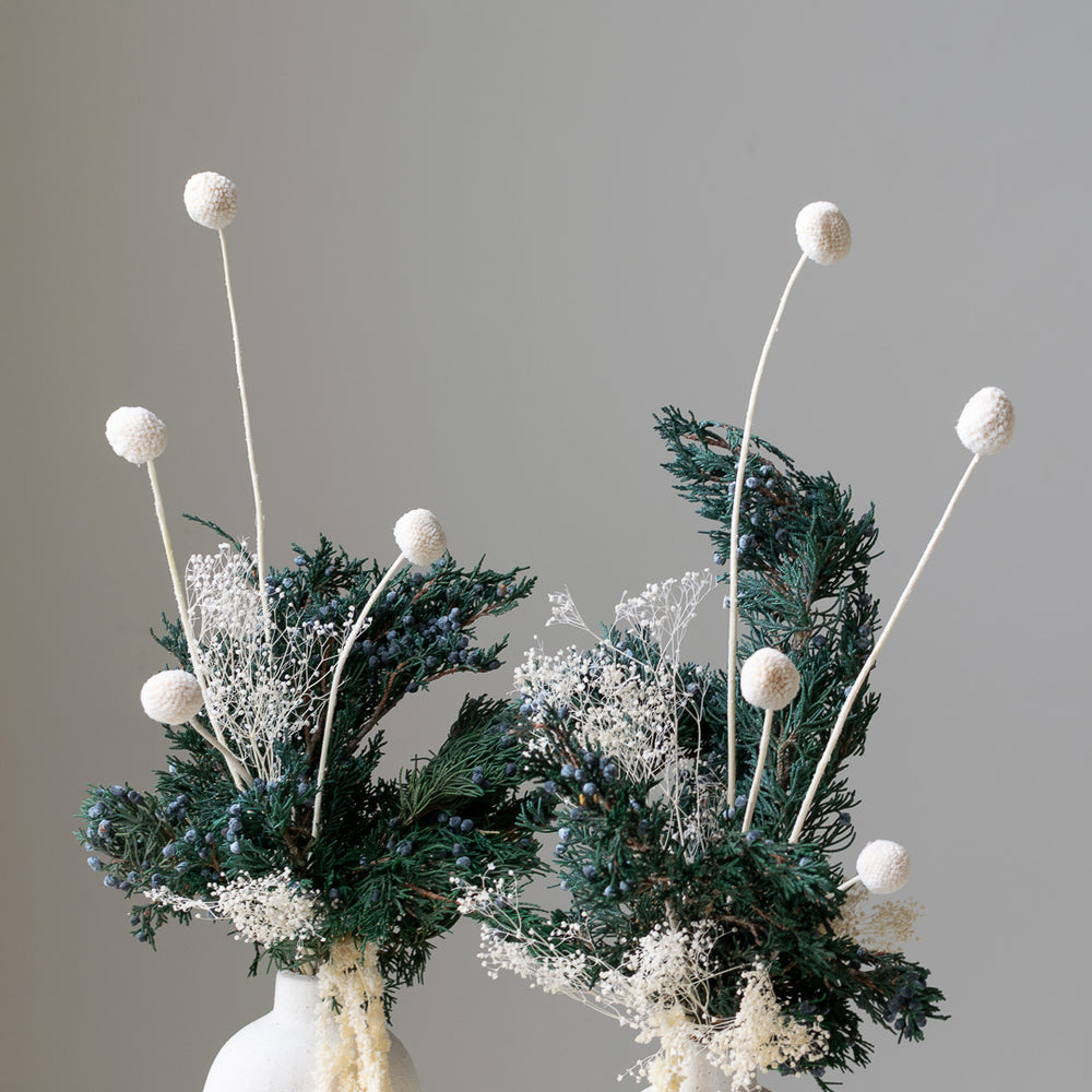 Juniper  - Dried Arrangement