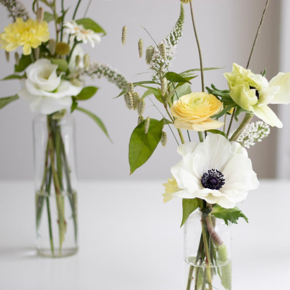 A close up of an anemone and mini ranunculus in a bud arrangement.