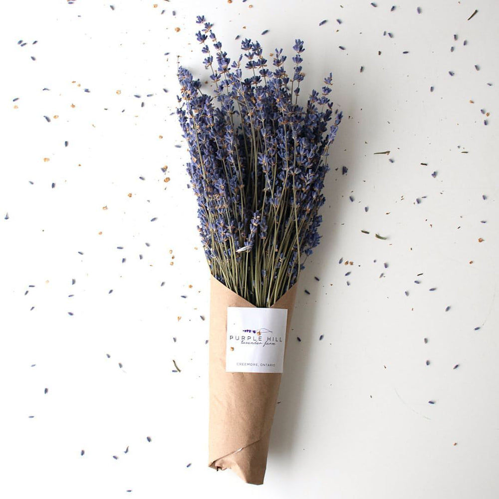 Dried Lavender Bundle in sustainable wrapping.
